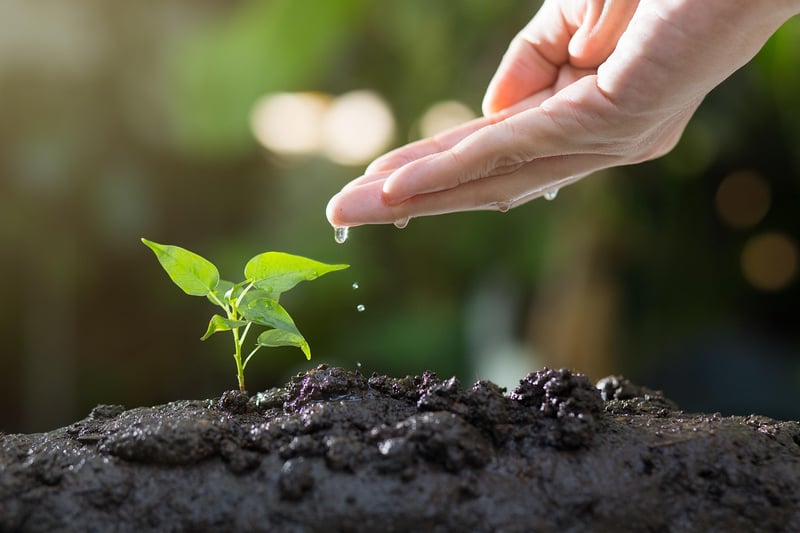 Gardeners connecting