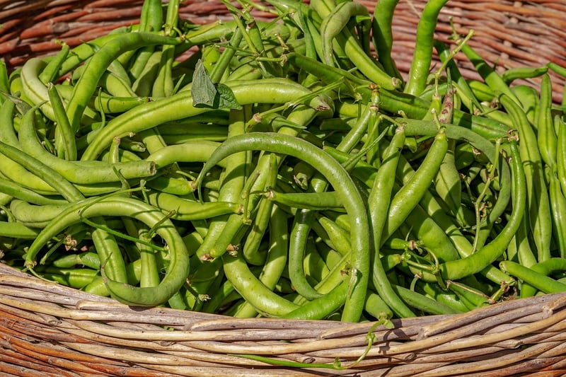 Excess produce sharing